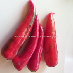 Сладкий перец Маркони красный (Marconi Red), Италия