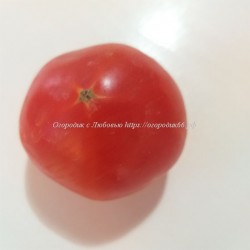 Томат Rosii Ideal (Romanian Tomato)