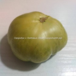 Томат Изумрудный Гигант /Dwarf Emerald Giant/
