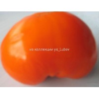 Томат Оранжевая клубника плоскоокруглая (Orange Strawberry)