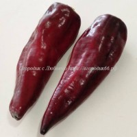 Сладкий перец Черная и красная роса Майорки (Rocío Negro Y Rojo