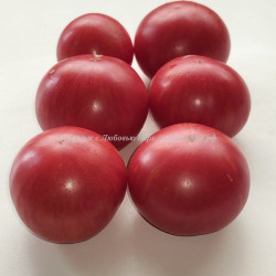 Томат Raw