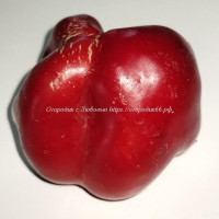 Сладкий перец Сибирские Гогошары