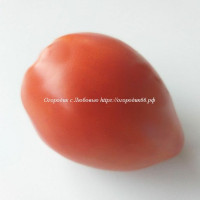 Томат Красное сердце гном /dwarf Red Heart /