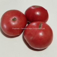 Томат Розовый Гигант Явена (Gigante Rosa di Giaveno)