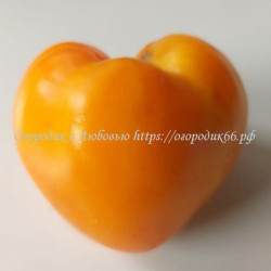 Томат Оранжевая клубника серцевидная (Orange Strawberry)