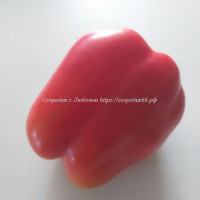 Сладкий перец Мега Италия красный (Mega Italy Red)