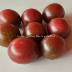Томат Black cherry (Чёрная вишня)