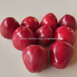 Сладкий перец Черри красный (Red cherry sweet)