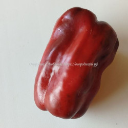 Сладкий перец Quadrato D'Asti Rosso, Италия