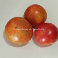 Томат Драгоценный камень с красной вершиной (Red Topped Gem)