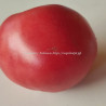 Томат Монстр Сонродзе (Dwarf Sonrojo Monster Tomato)