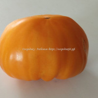Томат Оранжевая клубника (Orange Strawberry)