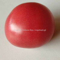 Томат Розовый Сьерра Арачена (Rosado de la Sierra