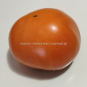 Томат Совершенная Хурма Юко ( Yuko's Persimmon Perfection, США)