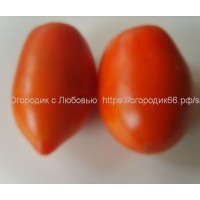 Томат Кенигсберг