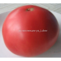 Томат Розовый гигант астраханский