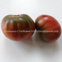 Томат Фиолетовая Клубника (Purple Strawberry)