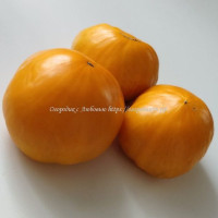 Томат Оранжевая клубника (Orange Strawberry)