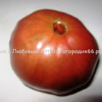 Томат Черная улыбка