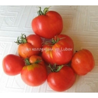 Томат Немецкая красная клубника (German Red Strawberry) США