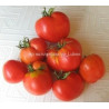 Томат Немецкая красная клубника (German Red Strawberry)  США