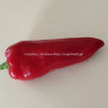 Сладкий перец Супер рубиново-красный (Super Ruby Red)