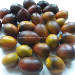 Томат Атомный Виноград Брэда (Brad’S Atomic Grape ), США