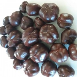Chocolate Cherry