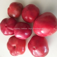 Острый перец Large Red Cherry