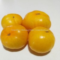 Томат Желтый осел  (Jackass Yellow Dwarf)