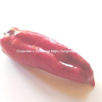 Сладкий перец Big Dipper Red, США