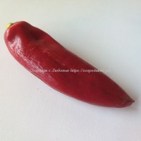 Сладкий перец Красная лопата